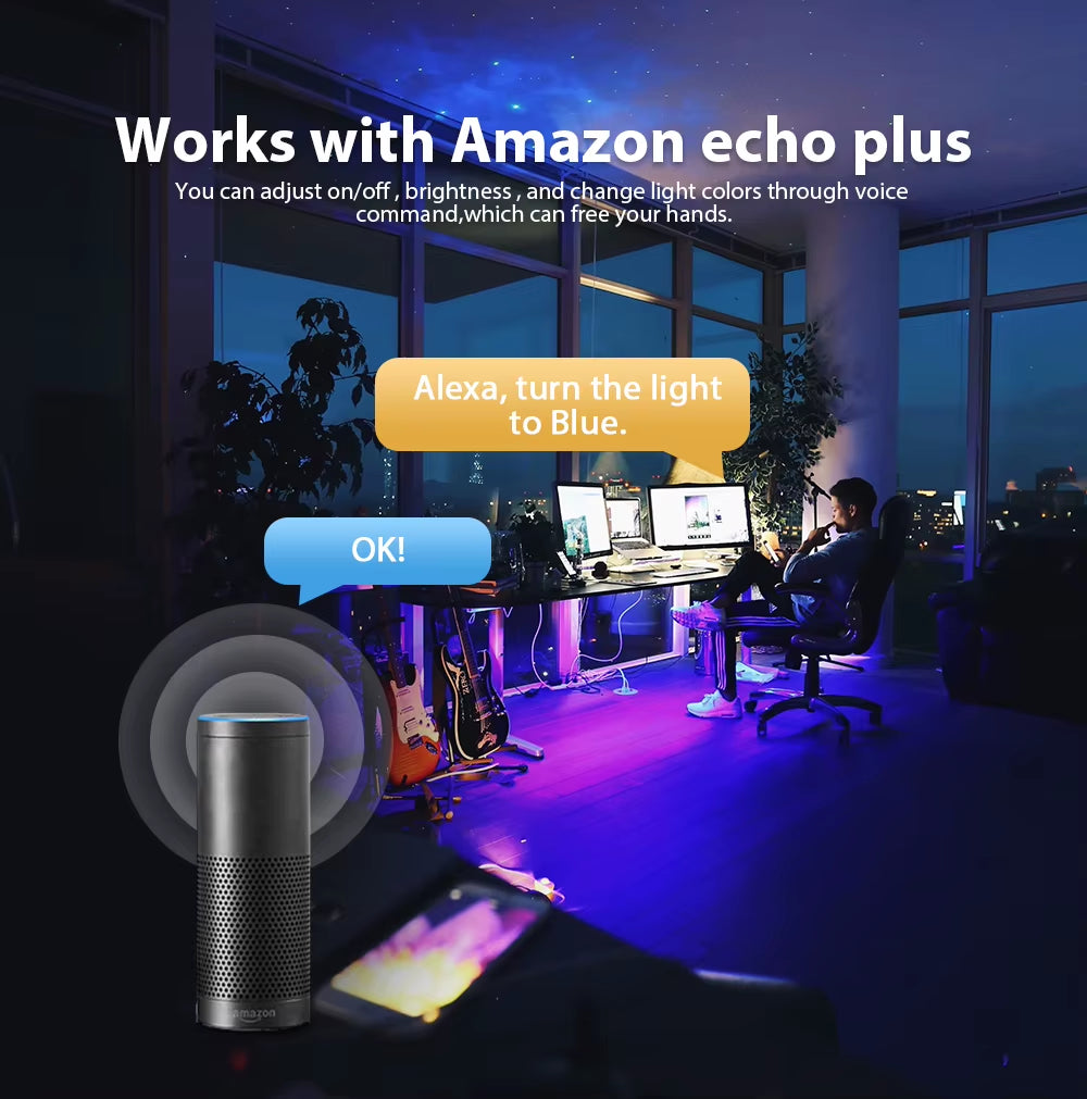 DC12V Zigbee Smart LED Strip RGB LED Strips Light Wireless Remote Control Support Tuya Smartthings Zigbee2Mqtt Echo Google Home