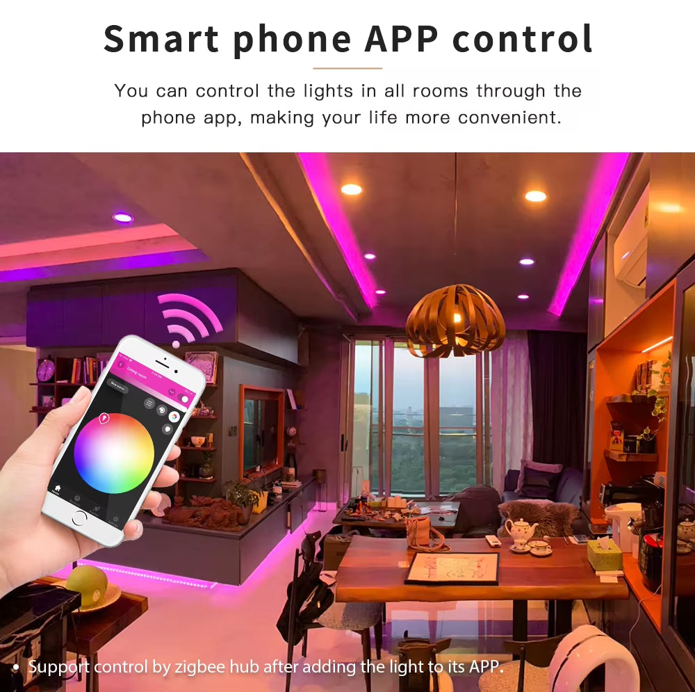 DC12V Zigbee Smart LED Strip RGB LED Strips Light Wireless Remote Control Support Tuya Smartthings Zigbee2Mqtt Echo Google Home